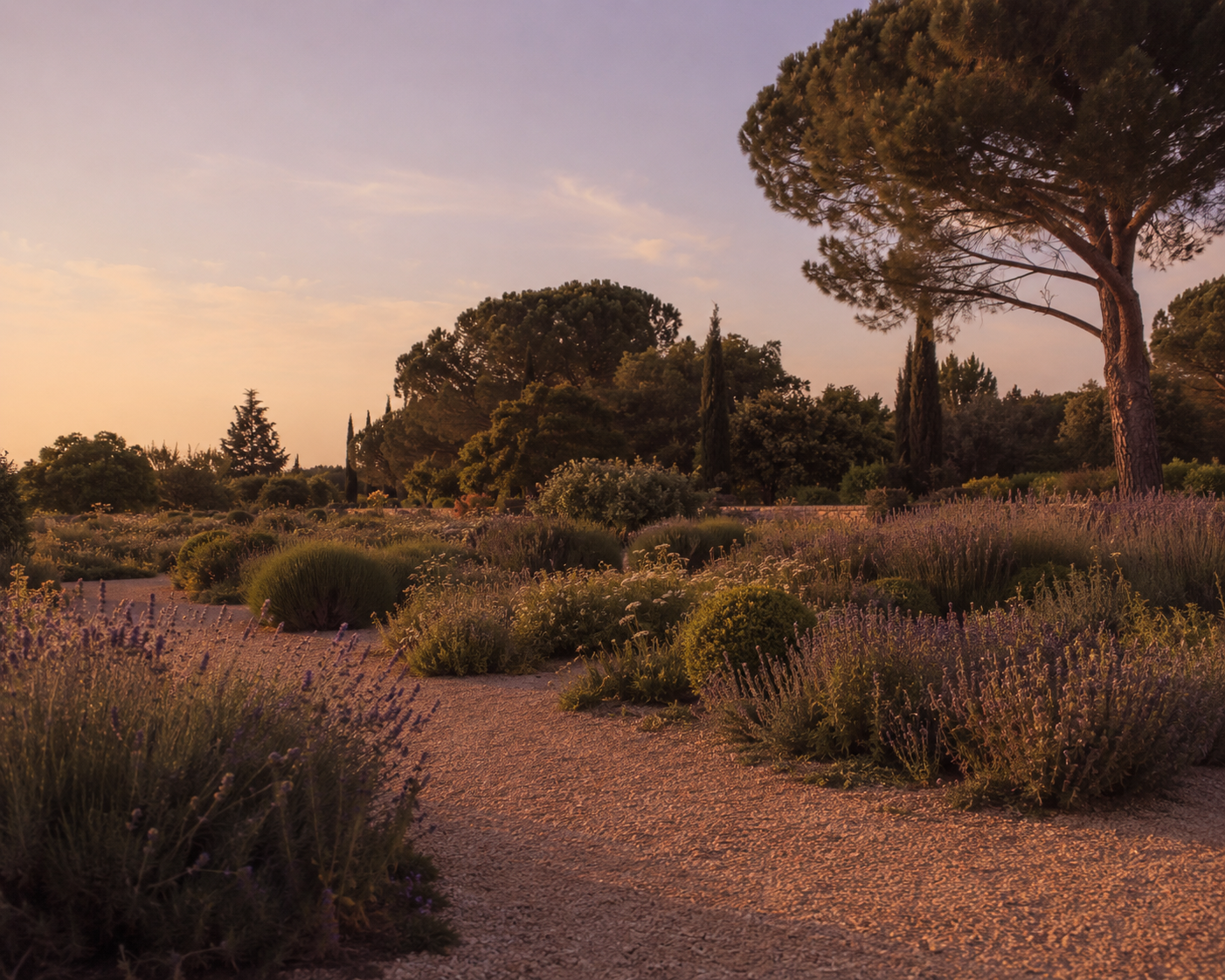 Provance Golden Hour