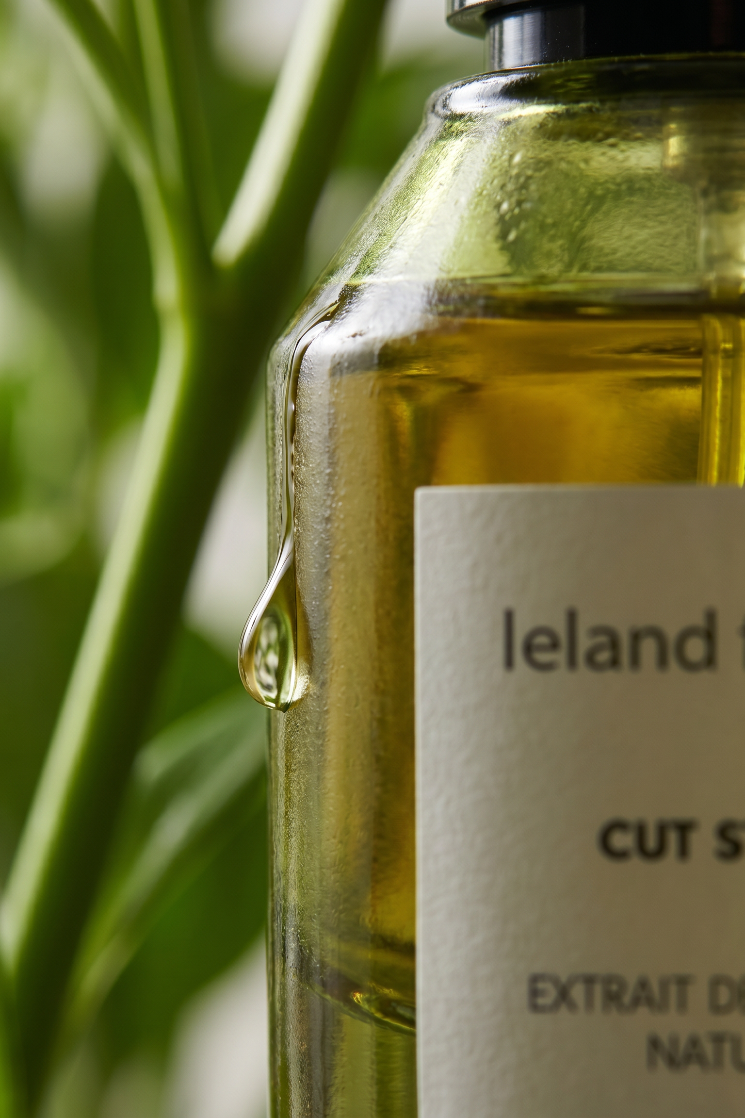 Leland Frances bottle with a label on a blurred green background