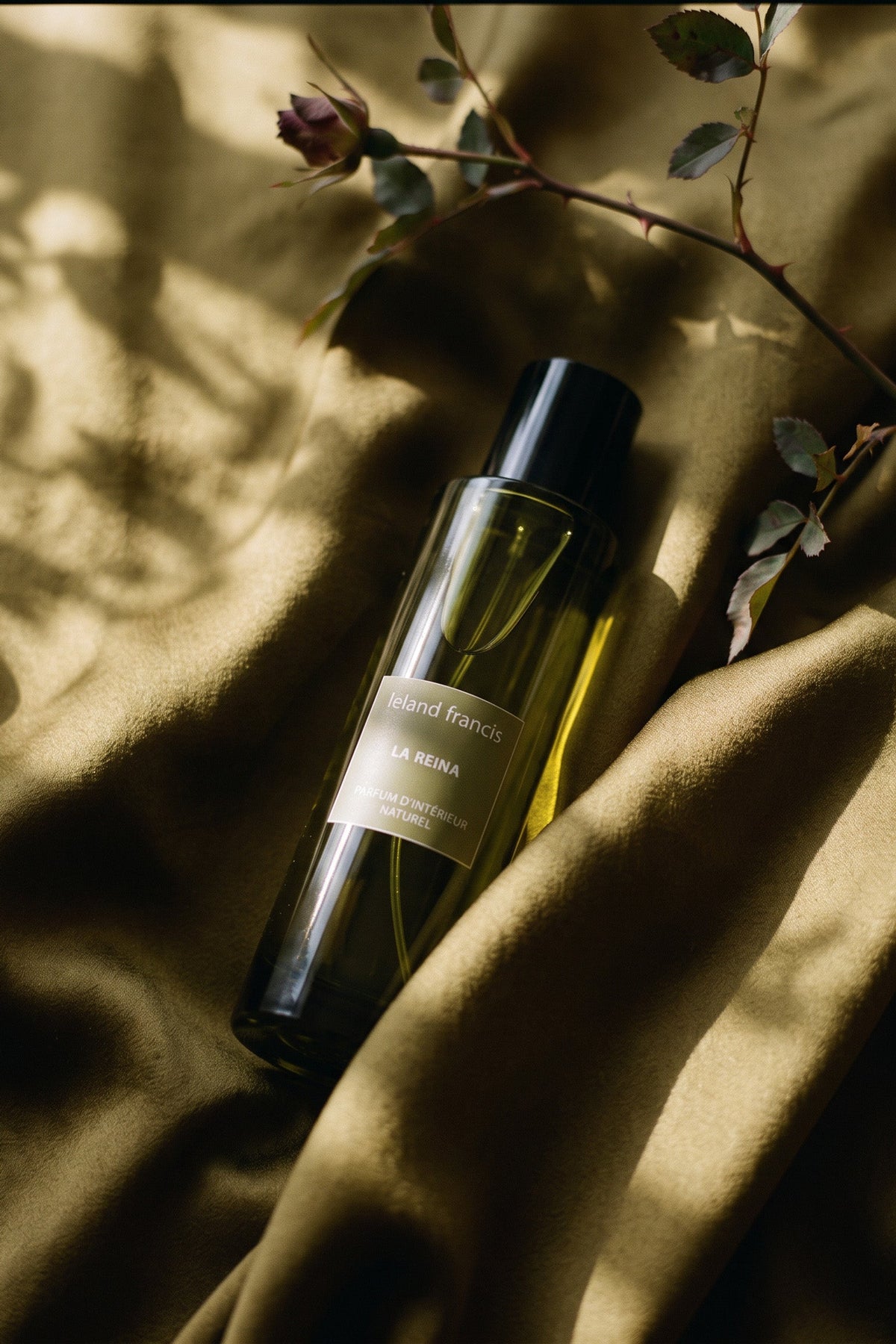 La Reina Room Spray resting on olive satin with a rose stem, dappled sunlight