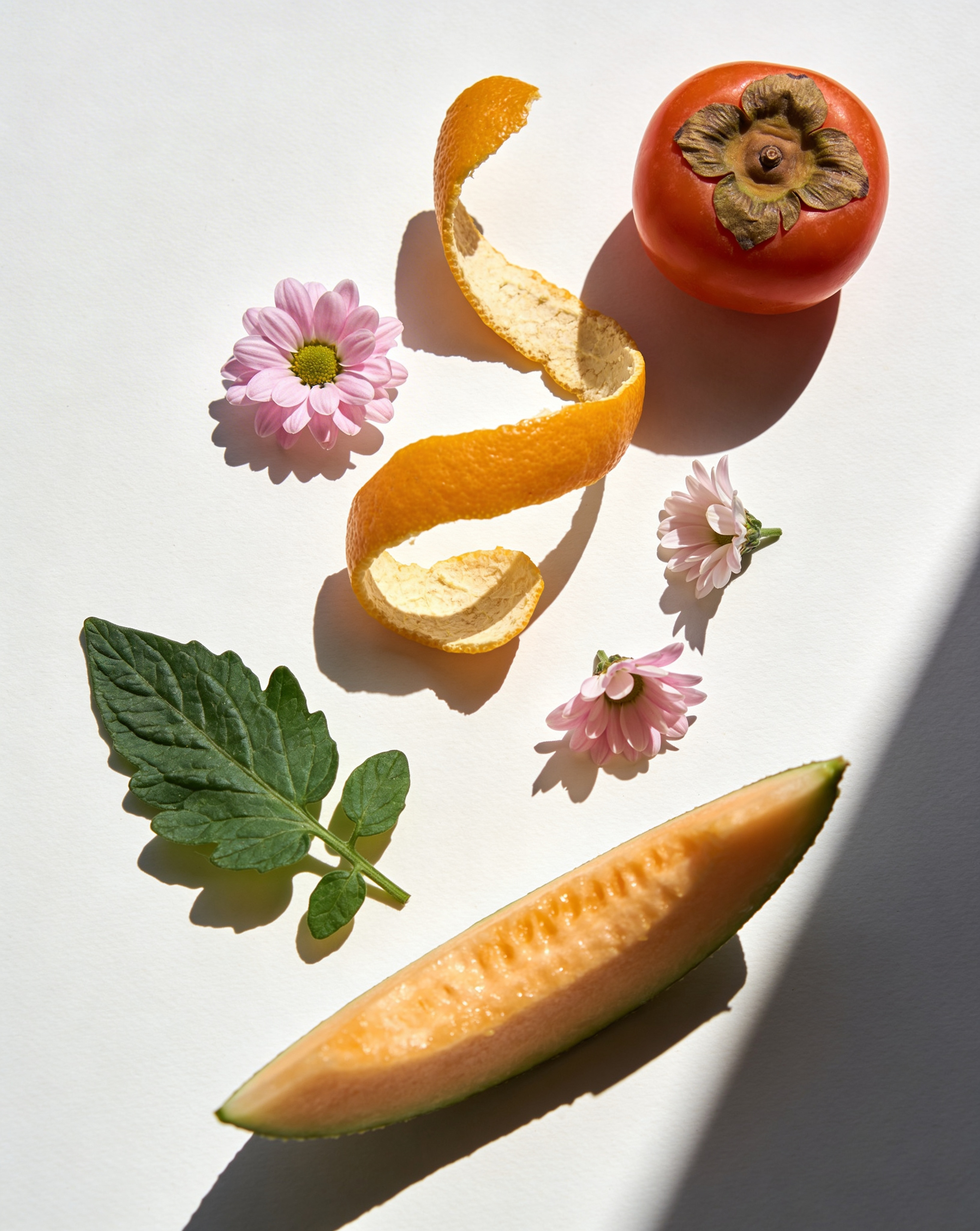 minimal still life of tomato leaf citrus peel flowers and melon in bright natural light on white background