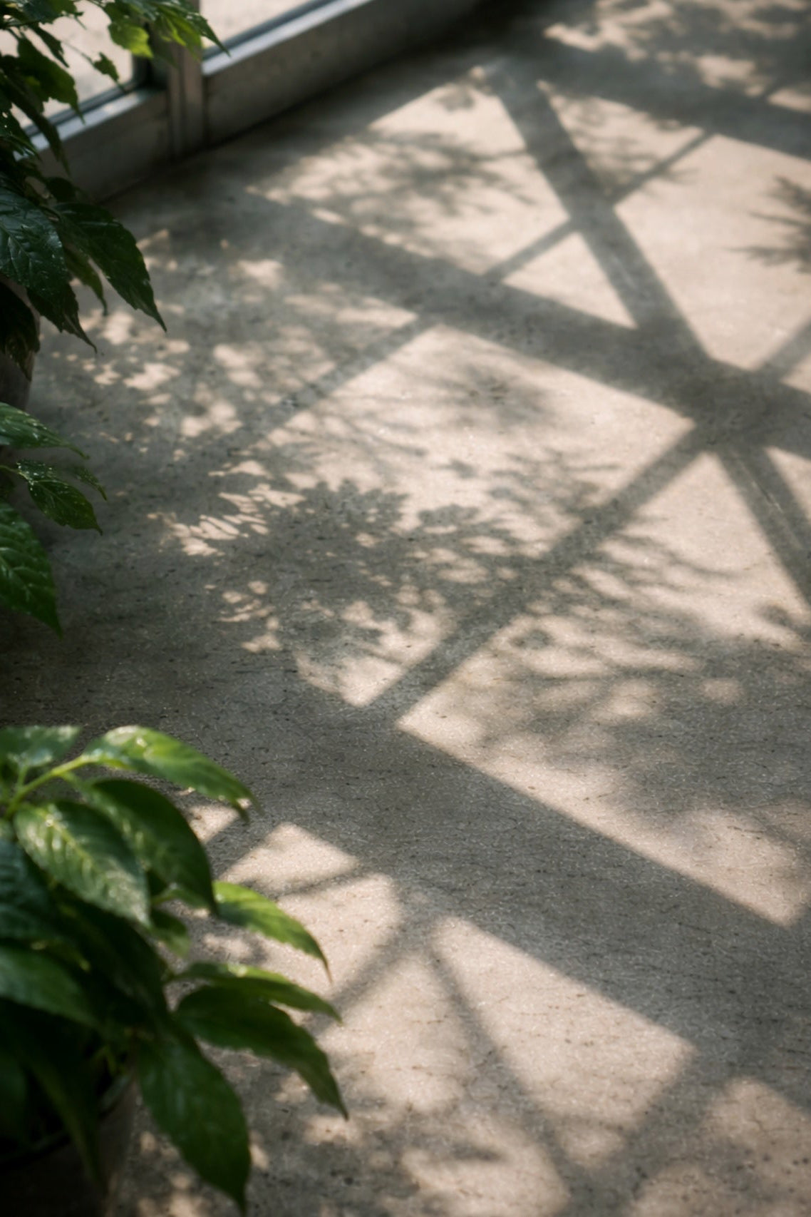 Cut Stems - Extrait de Parfum