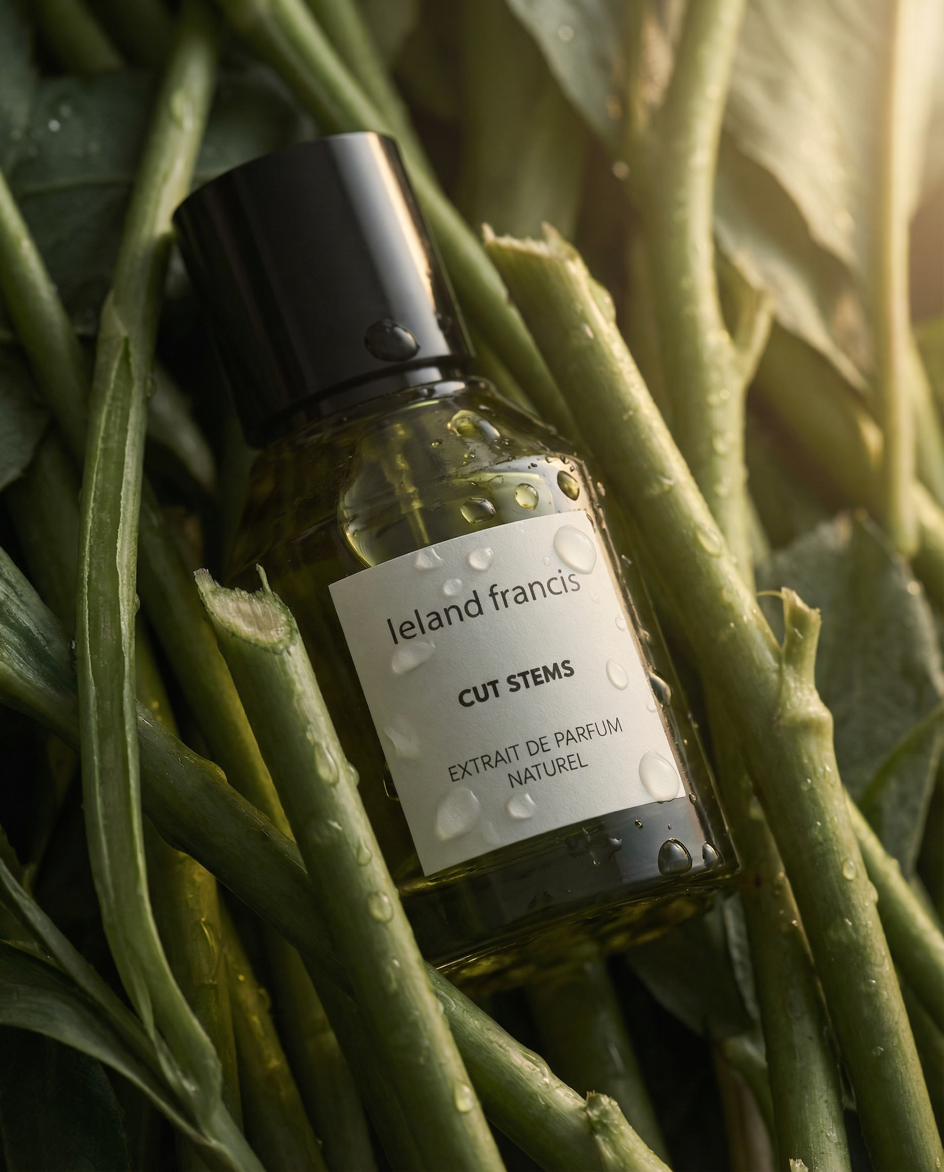 What Does Cut Stems Smell Like? Inside Leland Francis's New Clean Fragrance