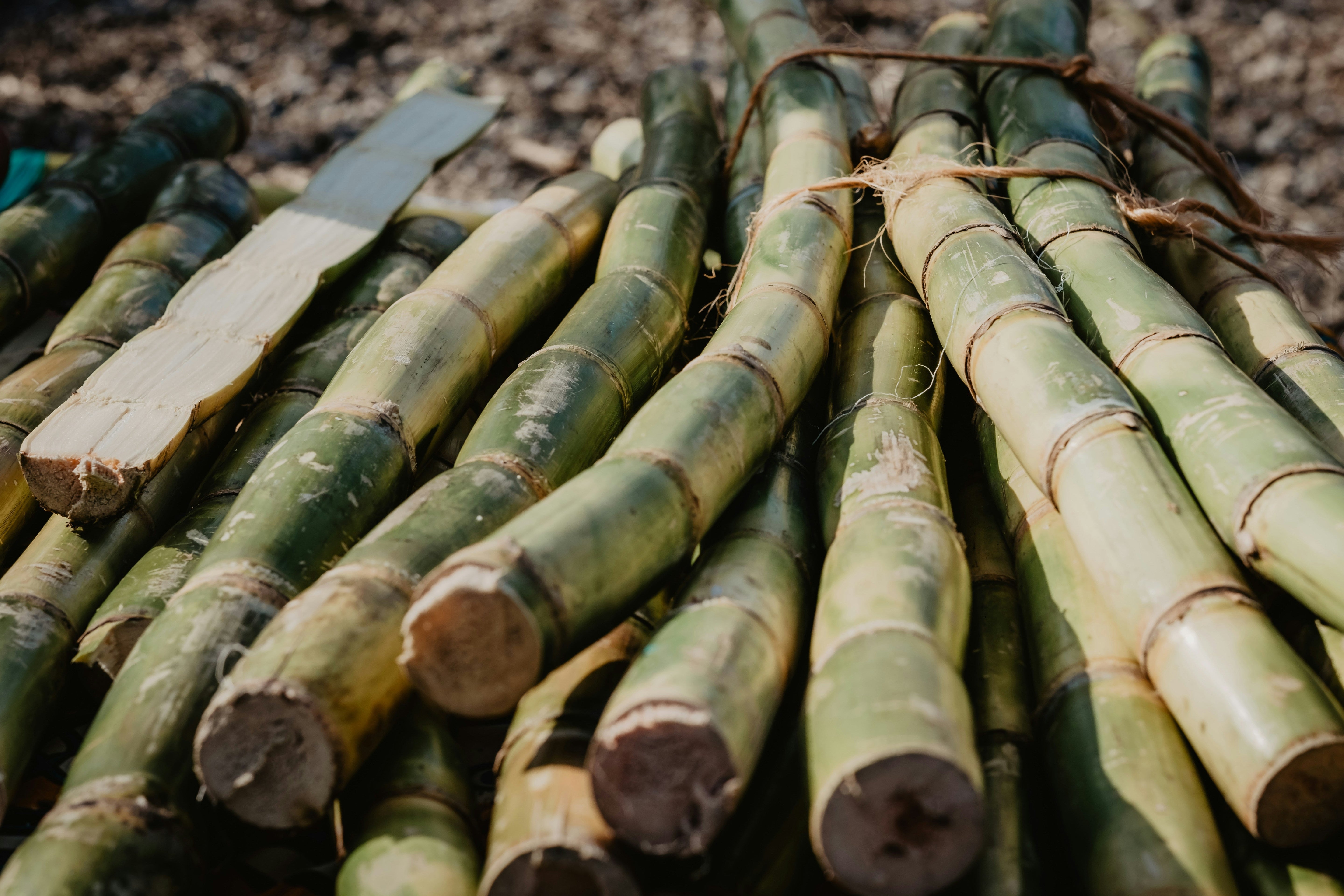 Why We Use Organic Sugarcane Alcohol (and Never Denatured Alcohol)
