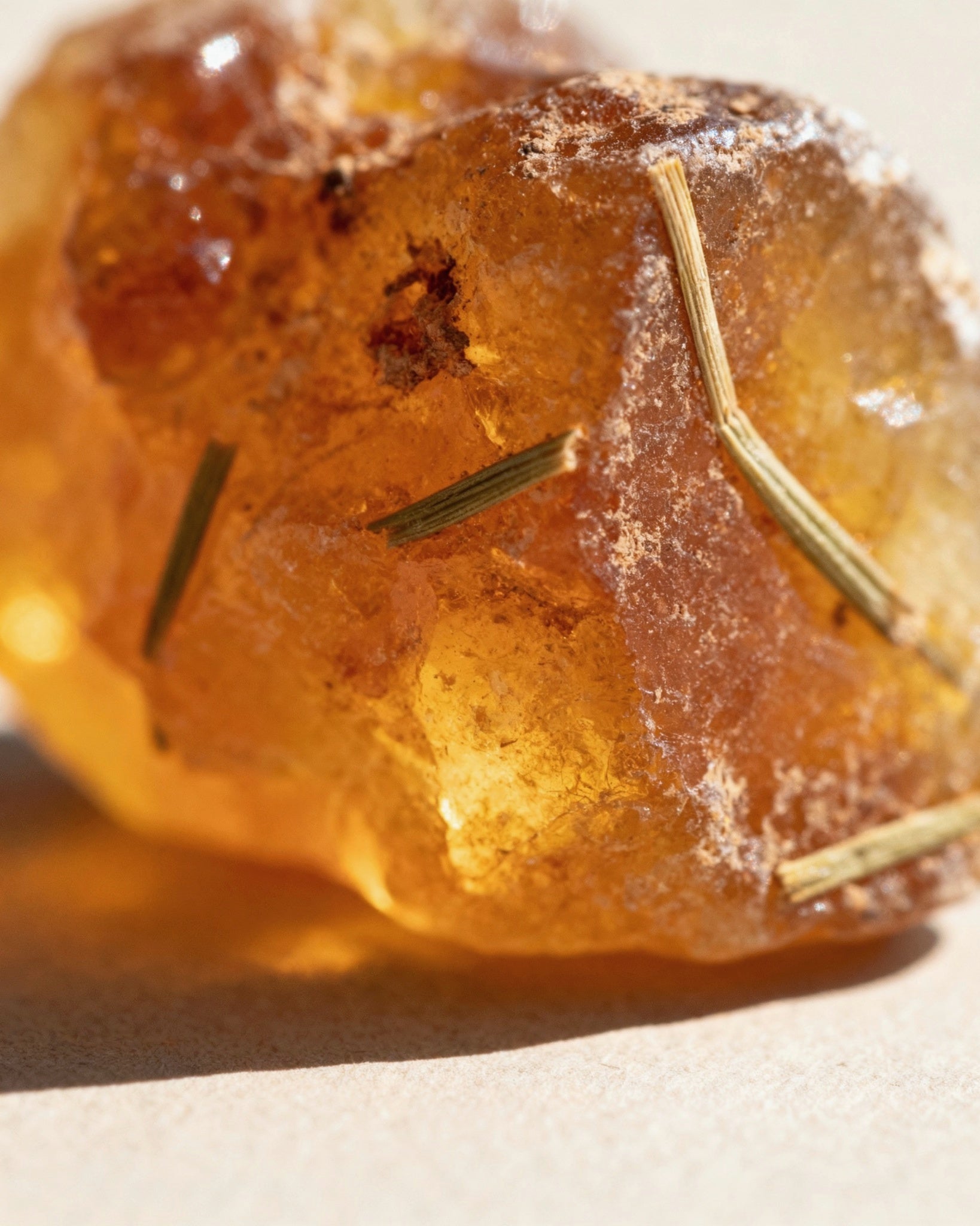 Picnic Bougie Parfumée Candle | Sensual Geranium and Citrus Soy