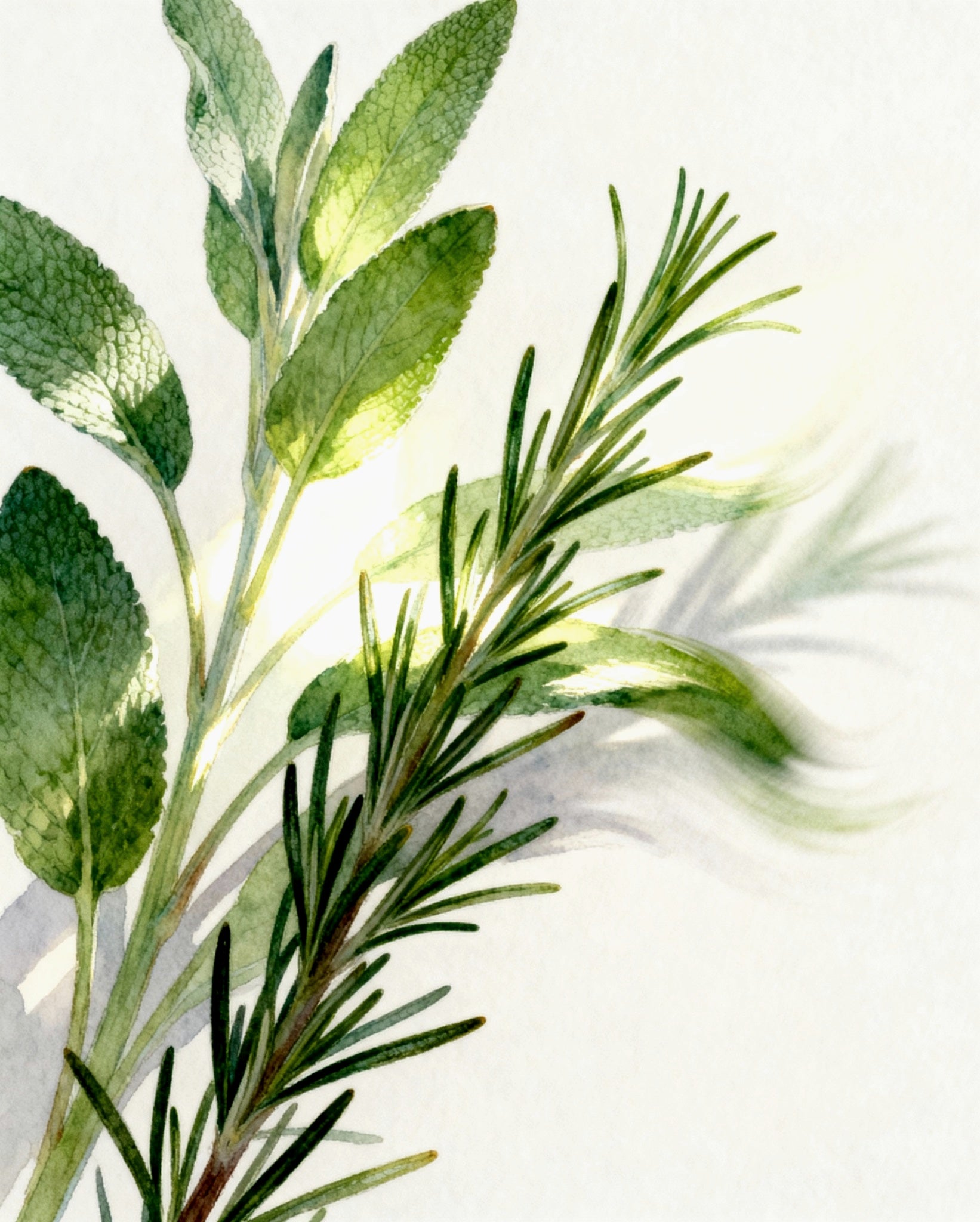 Pansy - Bougie Parfumée