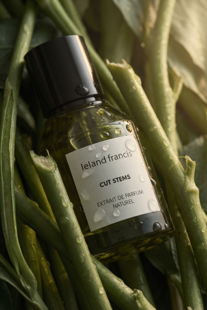 Bottle of 'Cut Stems' perfume by Ieland francis on green stems and leaves.