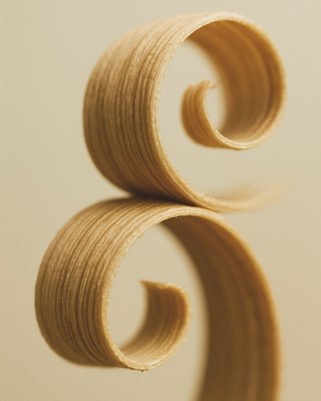 two ho wood curls on a beige background