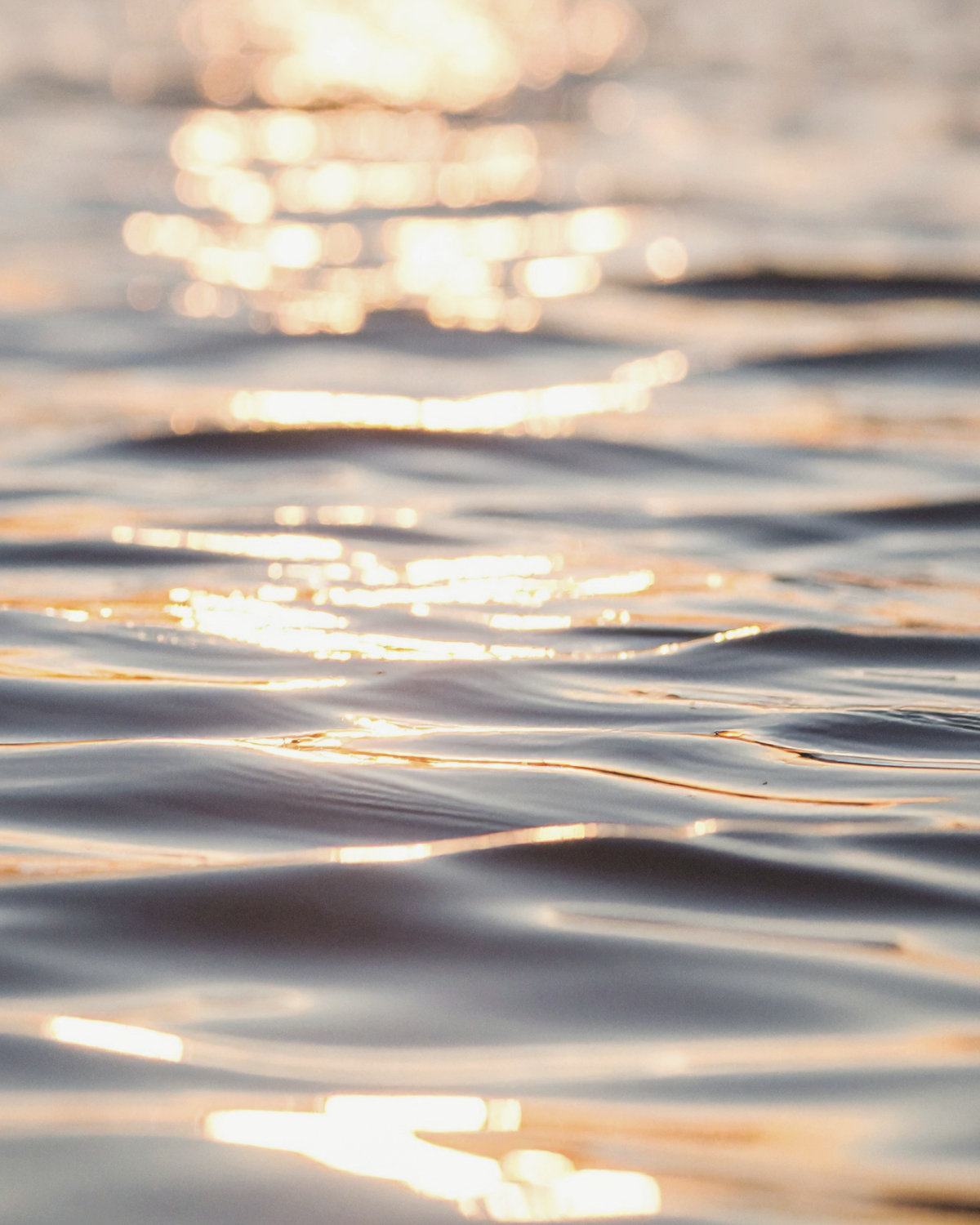 Glistening water surface reflecting light, likely at sunset or sunrise.