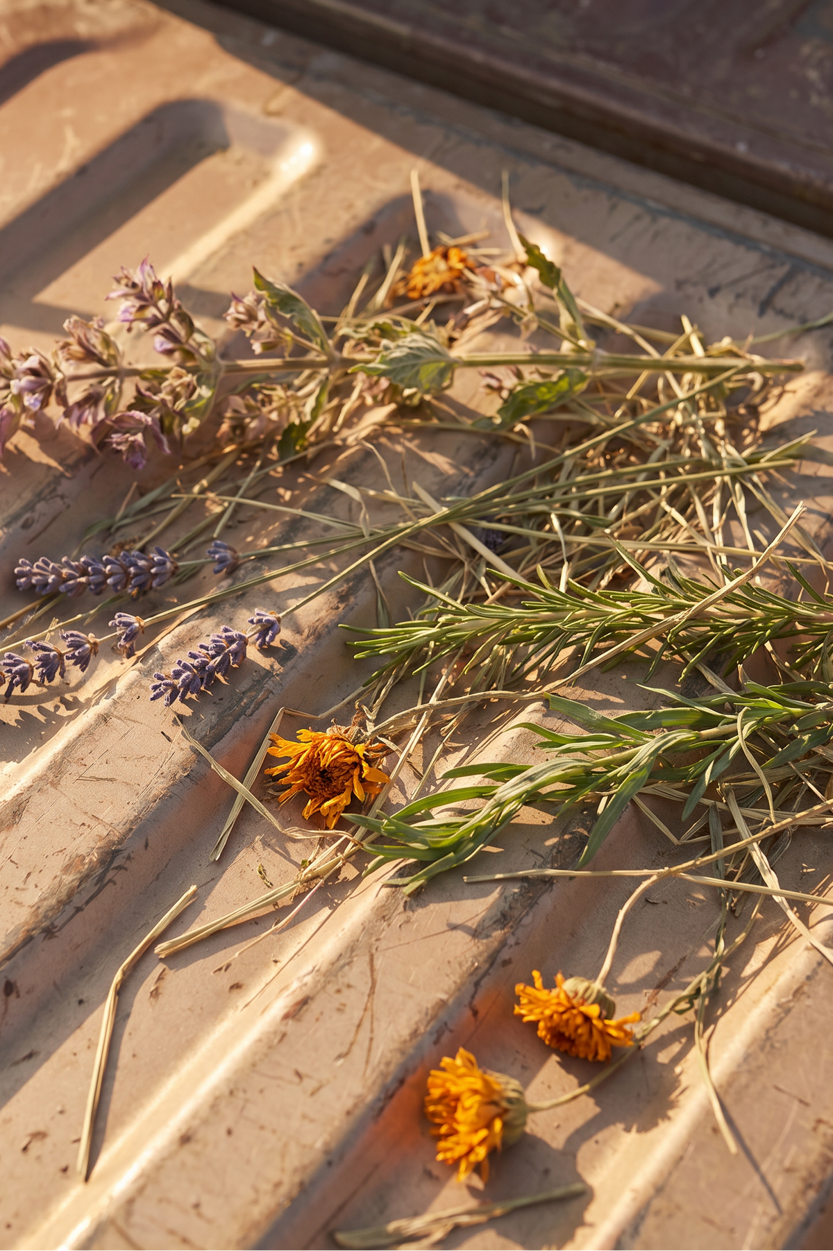 Fresh wild herbs and marigold flowers arranged on a weathered metal truck bed surface in warm sunlight.