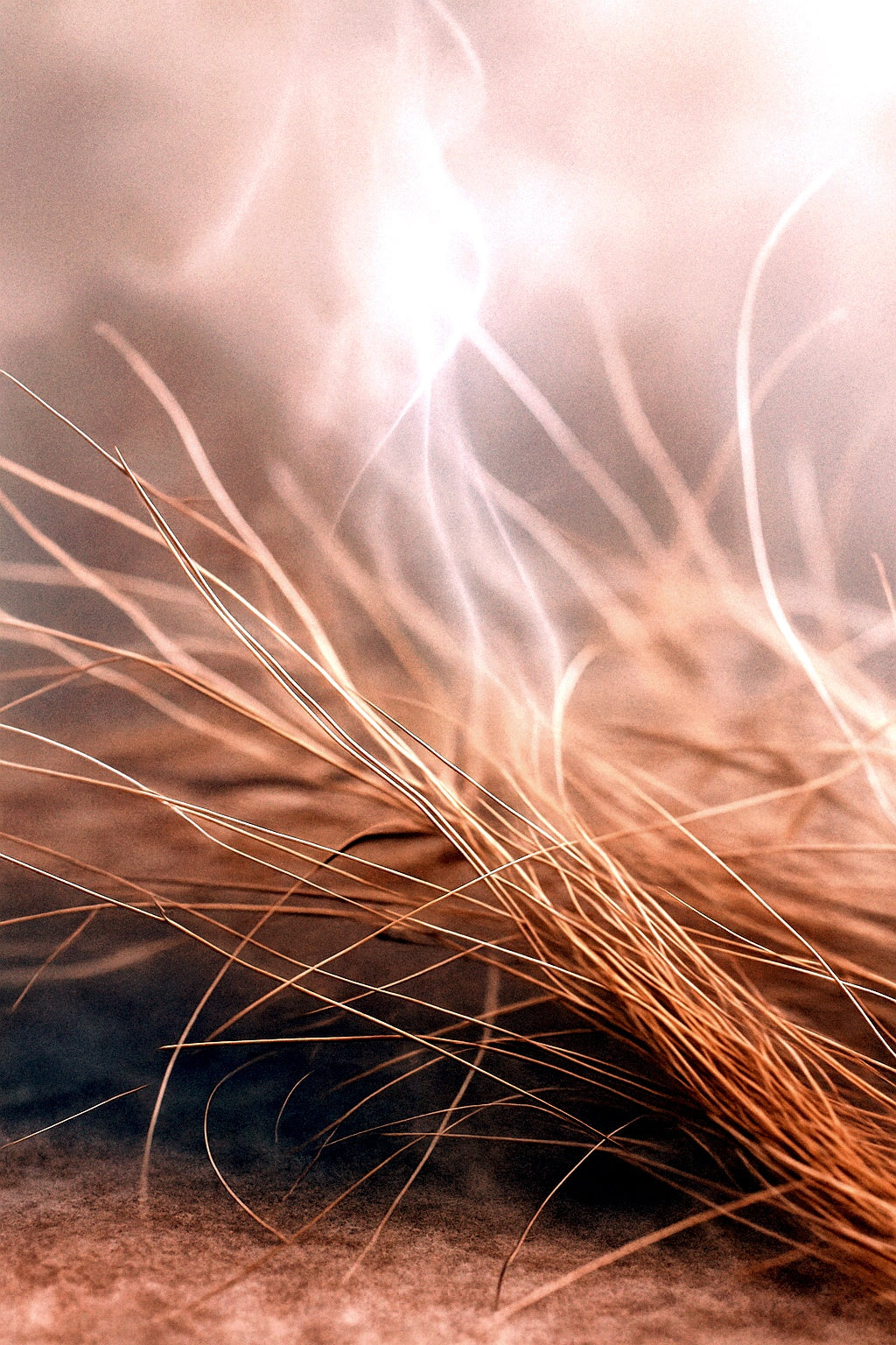 El Santo - Eau De Parfum